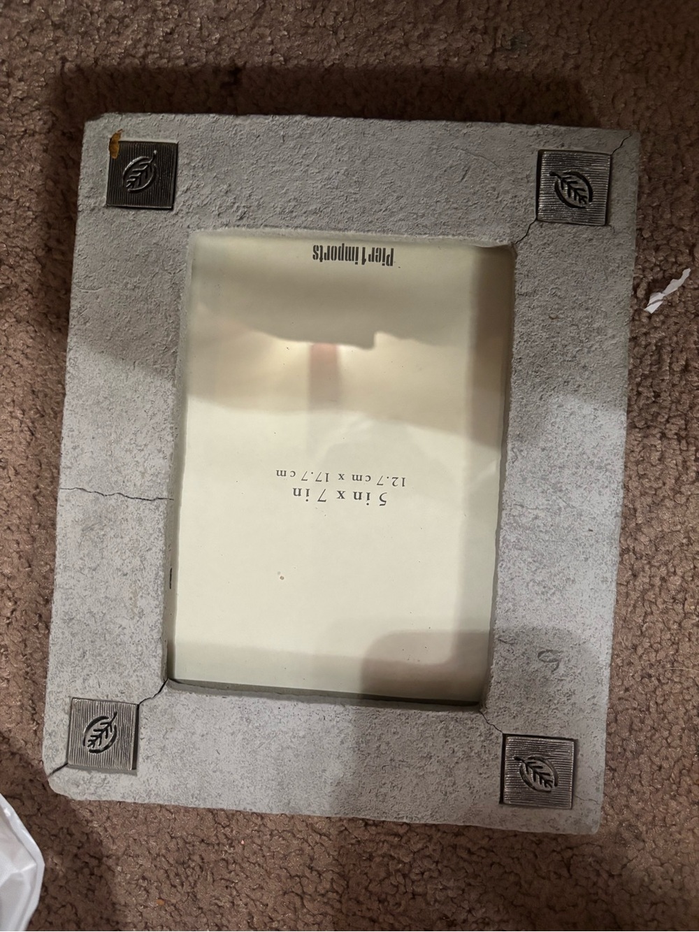 Pier 1 Concrete-Look Photo Frame with Leaf Medallions - Gray